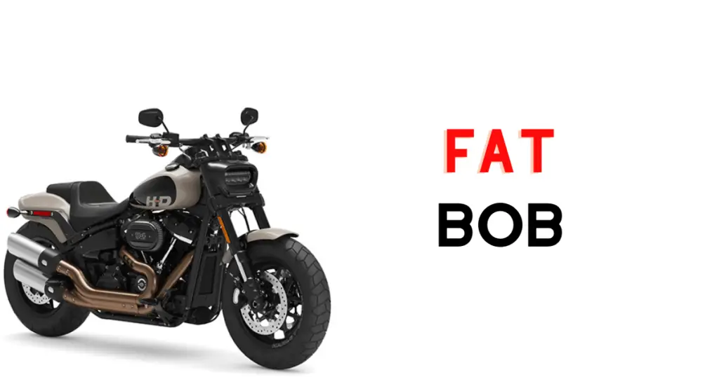 custom infographic introducing the overview for the Harley Davidson Fat Bob