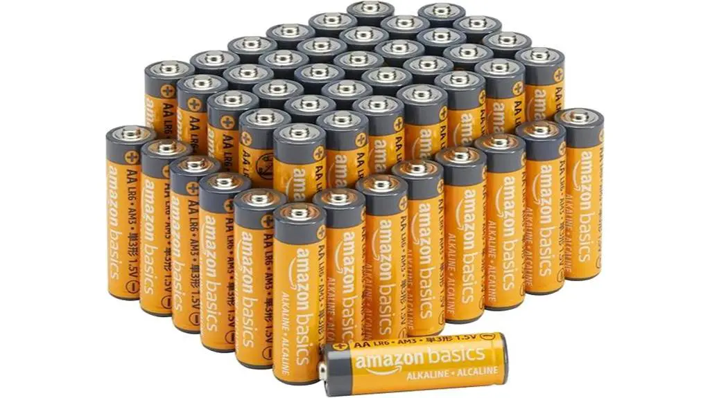 aa alkaline battery pack