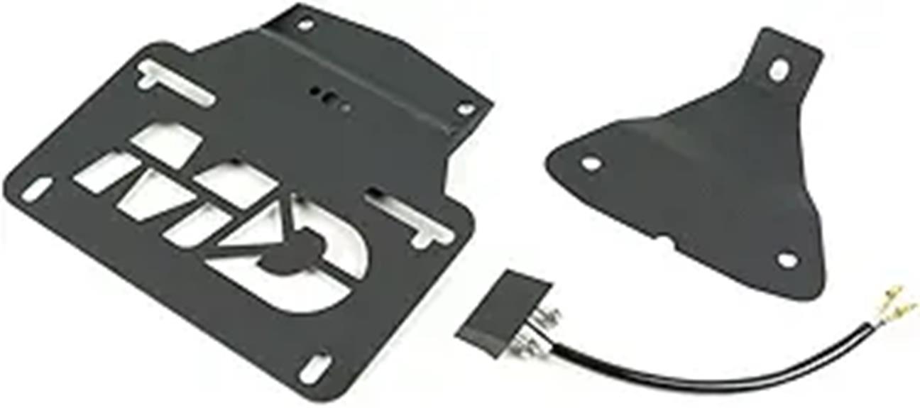 aprilia fender eliminator kit