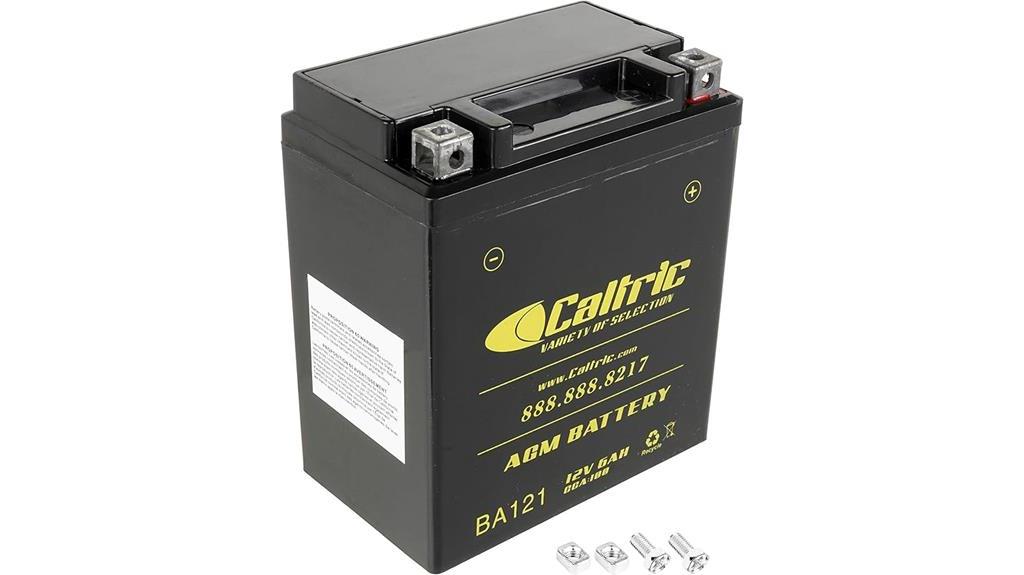 caltric agm battery compatible