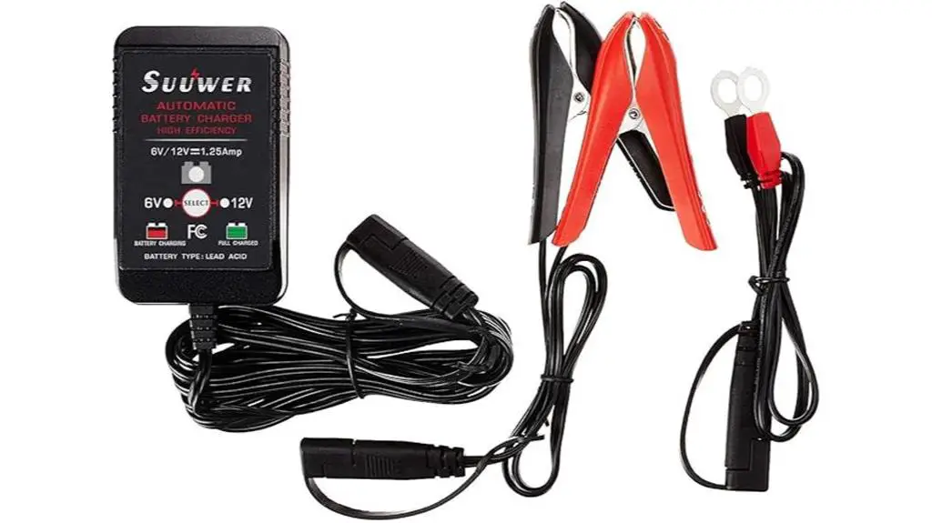 fully automatic smart battery charger