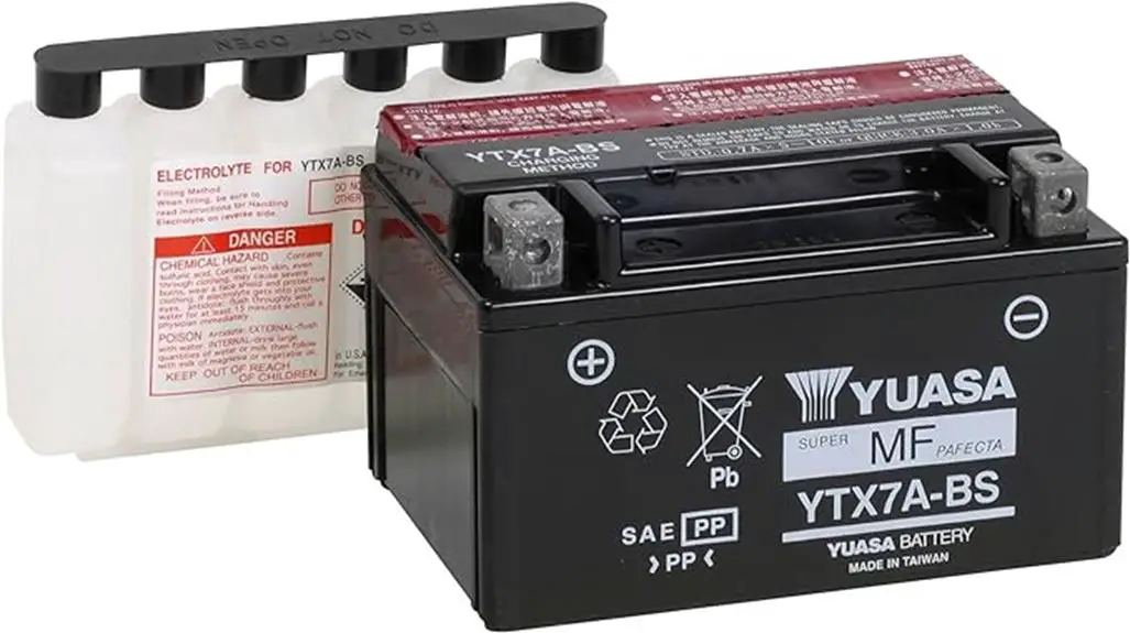 maintenance free agm battery