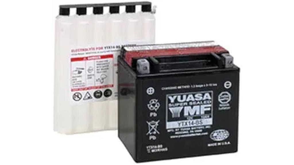 maintenance free battery package