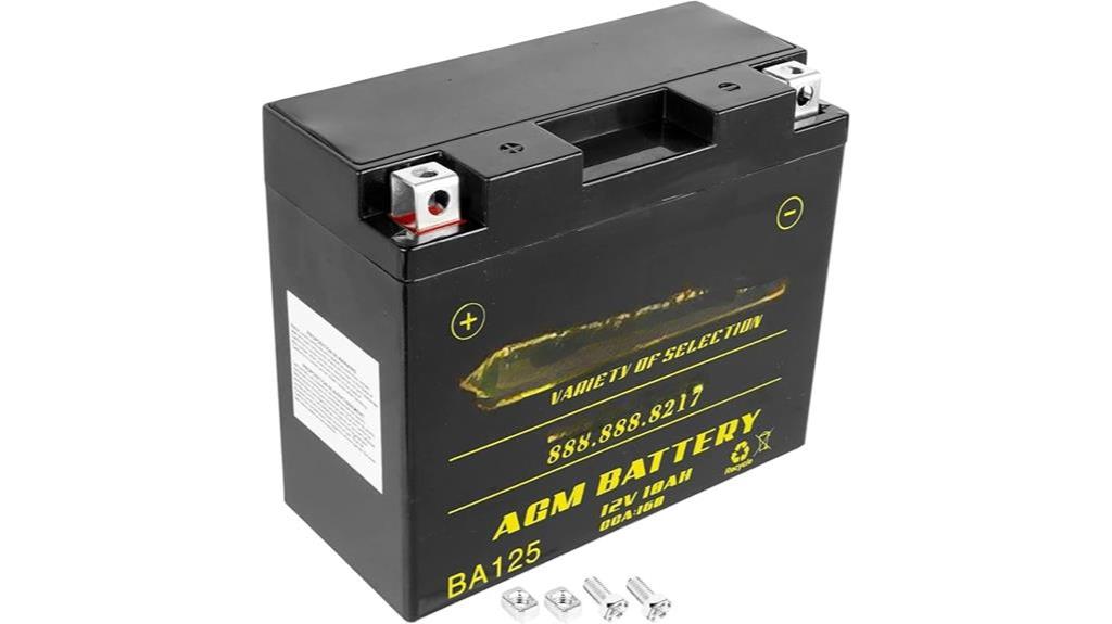 oem agm battery replacement