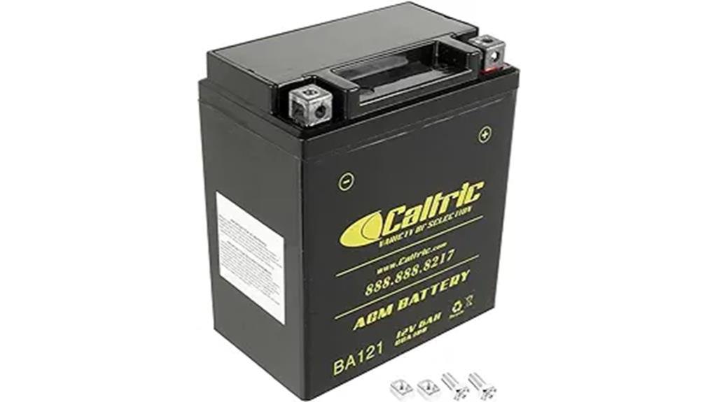 oem agm battery replacement