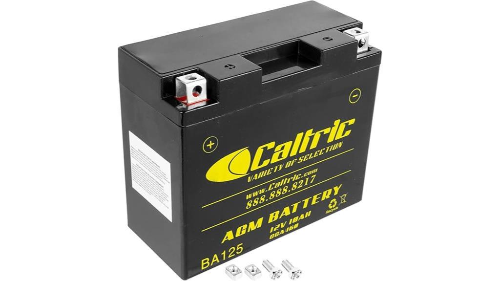 oem agm battery replacement