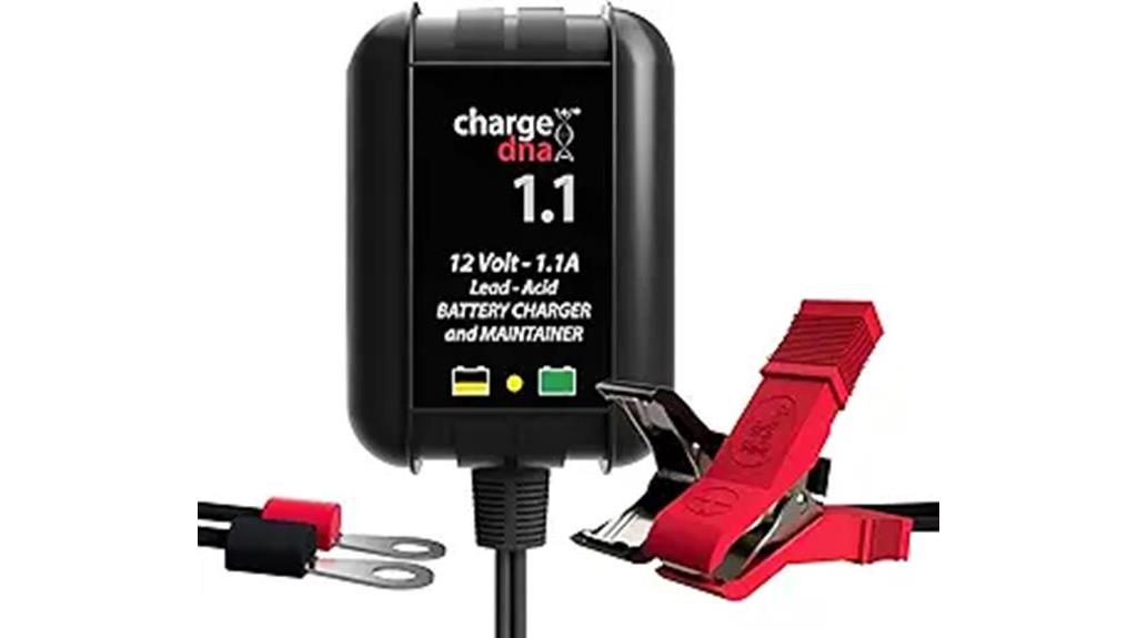 portable smart battery charger