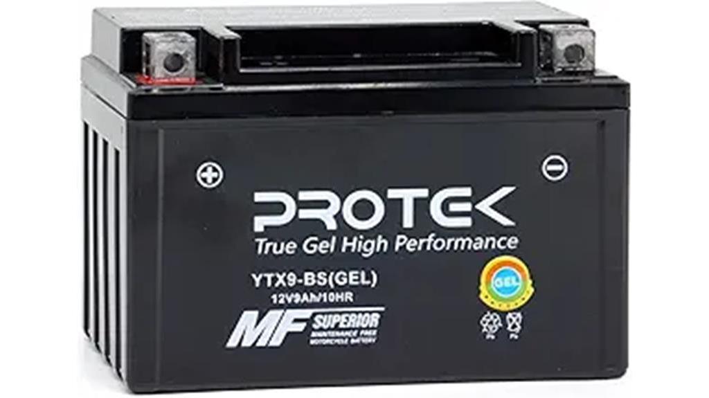 protek agm gel battery