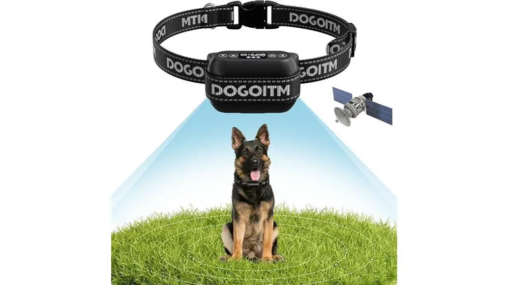 wireless outdoor dog fence